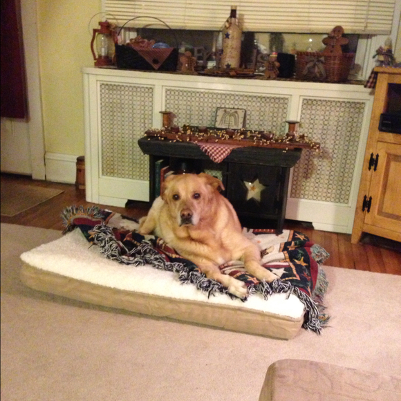 Profile Picture of Gina Schmeer (@ginam609) on Poshmark