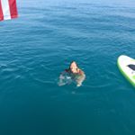 Profile Picture of Alexandra Glorioso (@aglorios1) on Instagram