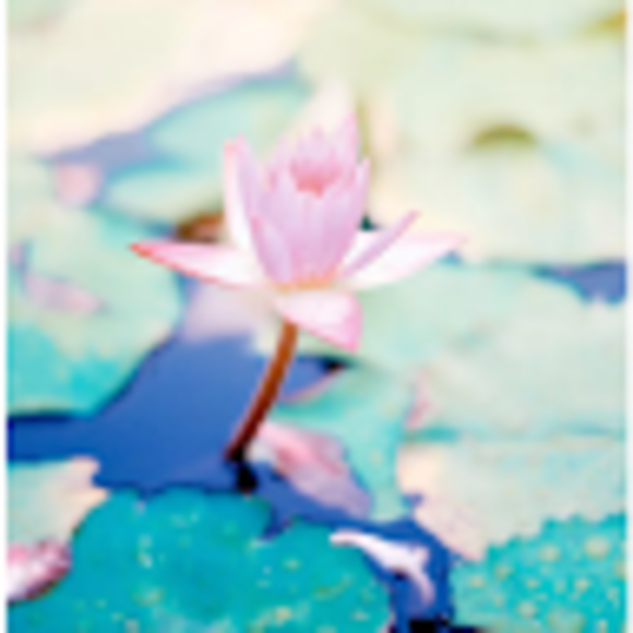 Profile Picture of Nechama Stock (@nechamastock05) on Poshmark