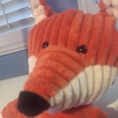 Profile Picture of Roy The Fox (@roythefox) on Twitter