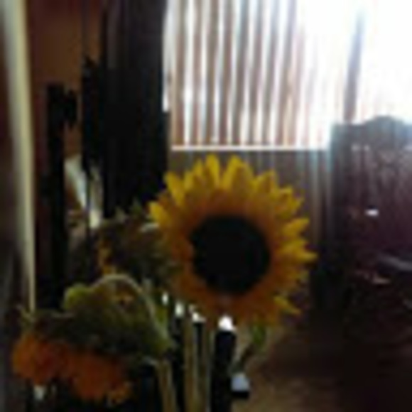 Profile Picture of Abigail Brazile (@abby99661) on Poshmark