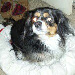 Profile Picture of Brian (@brian.boswell070560) on Instagram