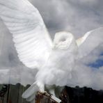 Mavis Orr - Facebook Profile Picture of Mavis Orr (@mavis.orr.3) on Facebook