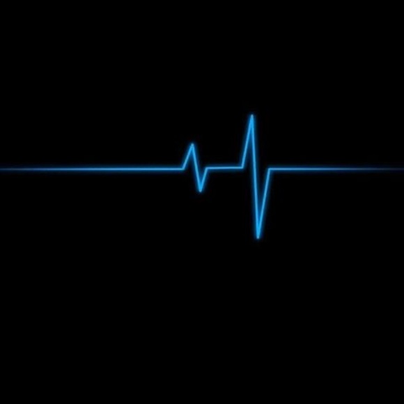 Profile Picture of Bi Nguyen (@quynguyen2503) on Poshmark