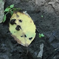 Debra Hoskins - Quora Profile Picture of Debra Hoskins (@debra-hoskins-5) on Quora