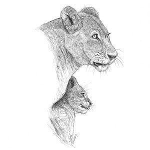 Profile Picture of Stu Rosen Art (@sturosenart) on Tiktok