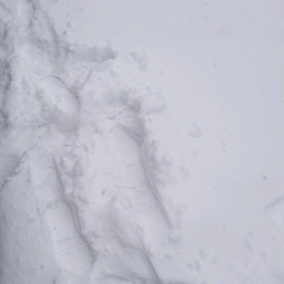 Profile Picture of Andres Chavez (@andresarden) on Poshmark