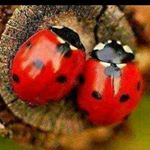 Profile Picture of Claudio Casanova (@casanovaclaudio) on Instagram