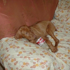 Profile Picture of Keith Brassfield (@216037378) on Myspace