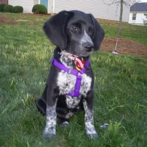 Profile Picture of Fay Moore (@godzchild0606) on Myspace