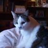 Profile Picture of Sylvia Haney913 (@luckylov77) on Tiktok