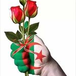 Profile Picture of Zola Ahmed Boulahouache (@ahmedboulahouache) on Instagram