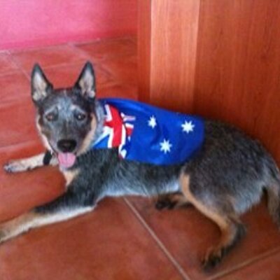 Profile Picture of Matt Knell (@Noddy342) on Twitter