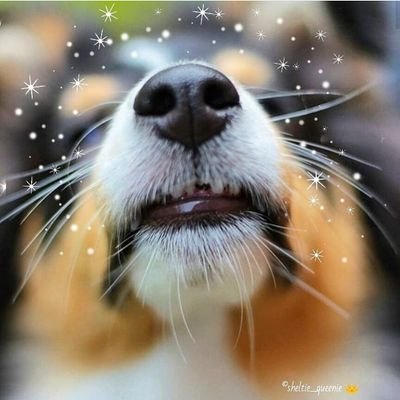 Profile Picture of Pam Parker (@PamPark67361464) on Twitter
