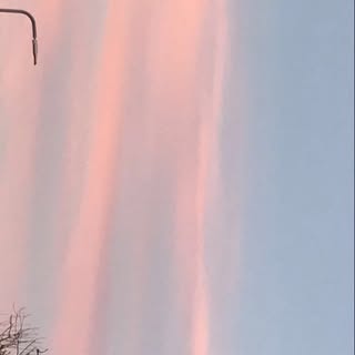 Profile Picture of Mace (@macey_scott) on Instagram