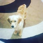 Profile Picture of kevinhanna_ (@kevinhanna__) on Instagram
