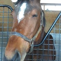 Profile Picture of Laura Irizarry (@laura-irizarry-1) on Quora