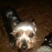 Profile Picture of Mauger Cathy (@mauger.cathy.7) on Facebook