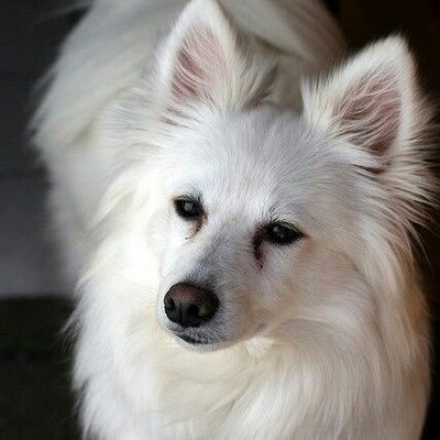 Profile Picture of Ginny Kapisak (@GKapisak) on Twitter