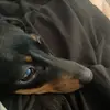 Profile Picture of Paul Robertson (@paul.robertson043) on Tiktok