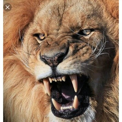 Profile Picture of Ronald Stubbs (@RonaldStubbs14) on Twitter