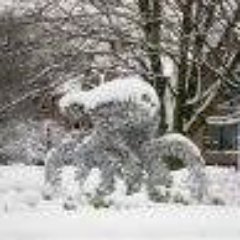 Profile Picture of Kevin Farrelly (@kevinfarrelly12) on Twitter