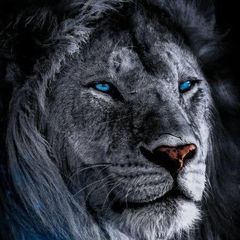 Profile Picture of josephmafumo6 (@josephmafumo2) on Tiktok