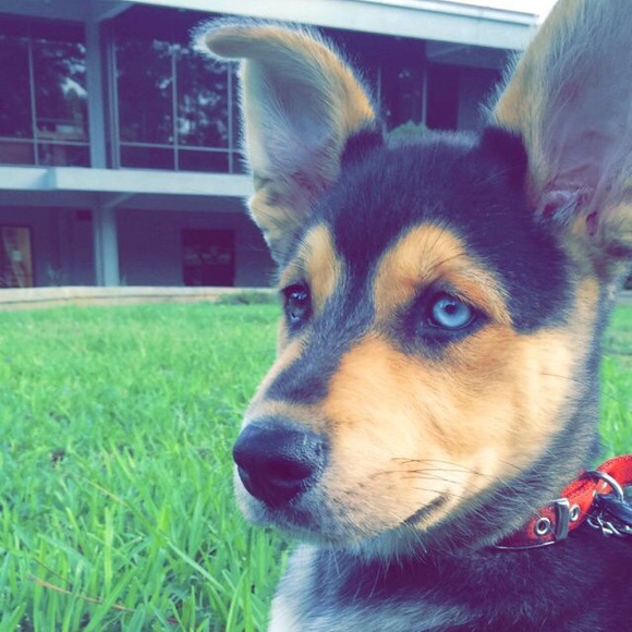 Profile Picture of Catherine Helm (@cathelm2) on Poshmark