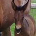 Profile Picture of JoEllen Bose Wiese (@bosewiese) on Pinterest