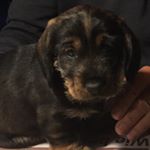 Profile Picture of Meta Beukelman (@meta.beukelman) on Instagram