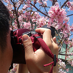 Profile Picture of Mike Huang (@acer1832a) on Flickr