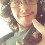 Profile Picture of Paul A. Savastano (@paul.a.savastano) on Instagram