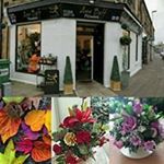 Profile Picture of Ann Baff Flowers (@annbaff) on Instagram