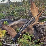 Profile Picture of Samuel Coulombe (@Samuel-Coulombe) on Facebook