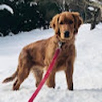 Profile Picture of Heidi Ziegler (@heidi-ziegler-12) on Quora