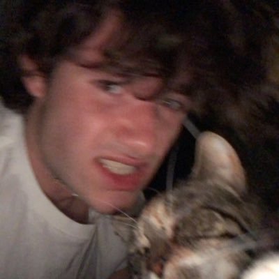 Profile Picture of Matthew McGuinness (@MattMcGuinnesss) on Twitter