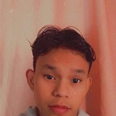 Profile Picture of Ariel Solomon (@ArielsolomonII) on Twitter