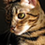 Profile Picture of Adam's Photo Graphs (@adam's photo graphs) on Flickr