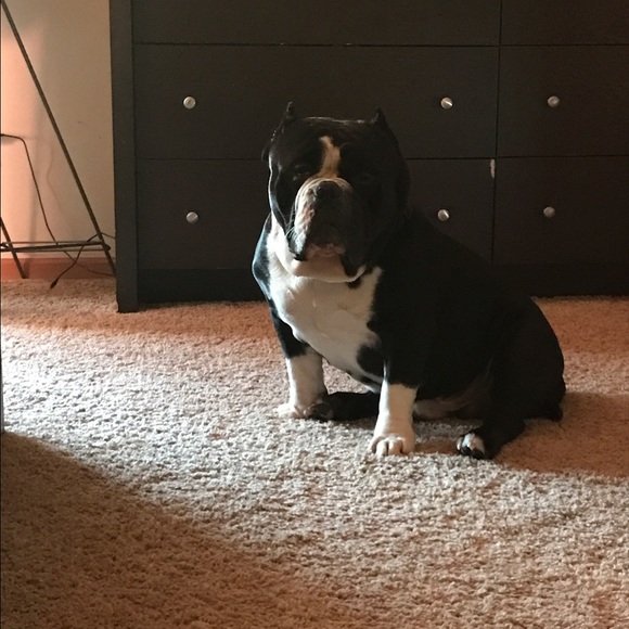 Profile Picture of Anthony Fields (@kingbishop980) on Poshmark