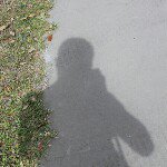 Usama Bamieh - Instagram Profile Picture of Usama Bamieh (@usamadallama) on Instagram