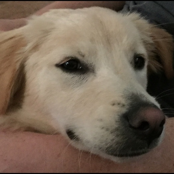 Profile Picture of Shannan Okonsky (@owen2erin) on Poshmark