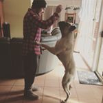 Profile Picture of Michael Stafford (@mstafford93) on Instagram