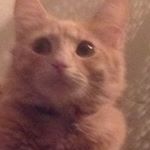 Profile Picture of Jason Puskar (@official_jkp) on Instagram