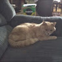 Profile Picture of Richard Dover (@richard-dover-17) on Quora