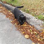 Profile Picture of Tori Gonzalez (@tori_gonzalez18) on Instagram