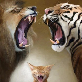 Profile Picture of Jameshaj (@jameshaj1) on Twitter