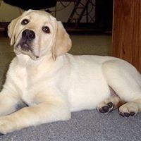 Profile Picture of Lance Ros Iben (@lance-ros-iben) on Quora