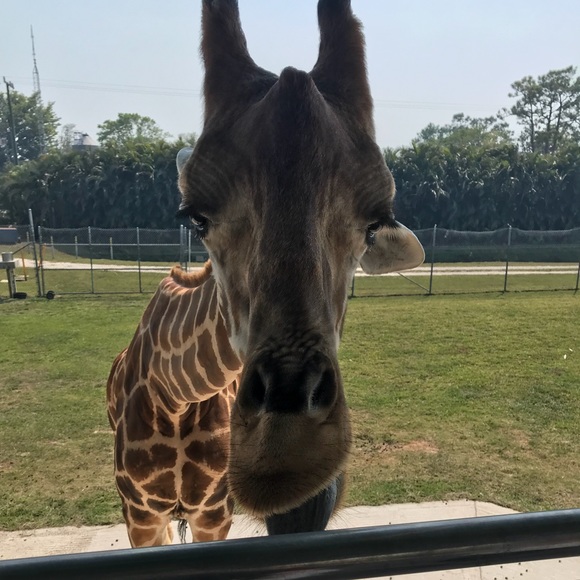 Profile Picture of Meara Taggert (@meme1618) on Poshmark