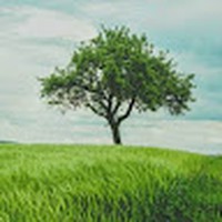 Profile Picture of Stephen Worrell (@stephen-worrell-12) on Quora