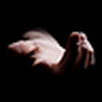 Profile Picture of Michaelkant (@michaelkant) on Flickr